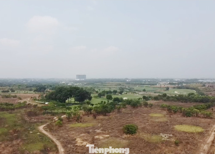 Cận cảnh 2 khu đất chuyển nhượng trái quy định khiến lãnh đạo TCT Bình Dương 'xộ khám' ảnh 4