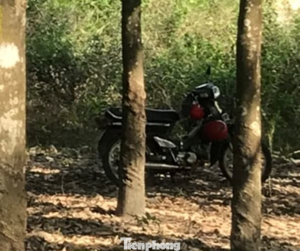 Phát hiện thi thể nam giới cháy đen trong vườn cao su ảnh 2