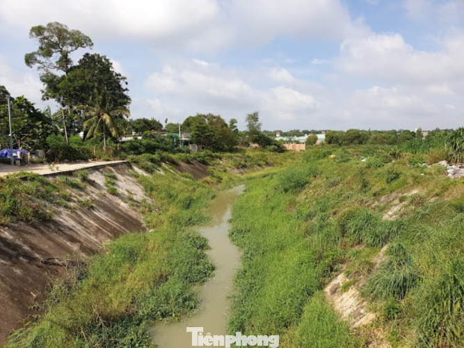 Lập đoàn kiểm tra hiện tượng 'tuyết' phủ trắng sau mưa ở Bình Dương ảnh 7