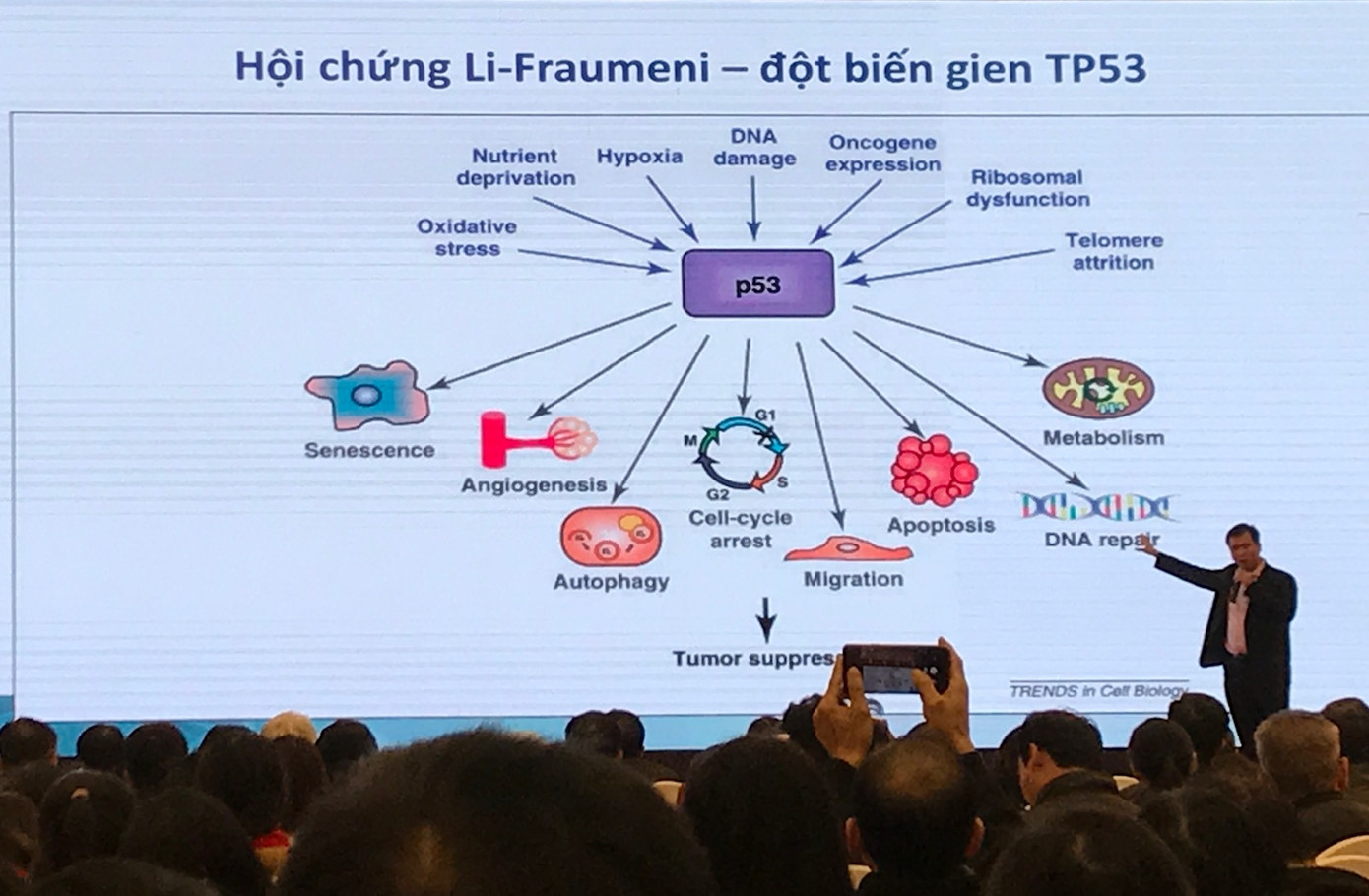 Chìa khóa công nghệ gien trong tầm soát và điều trị ung thư ảnh 2