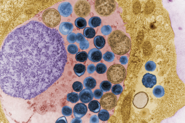 Hẹn hò online làm gia tăng bệnh lây qua đường tình dục? ảnh 1