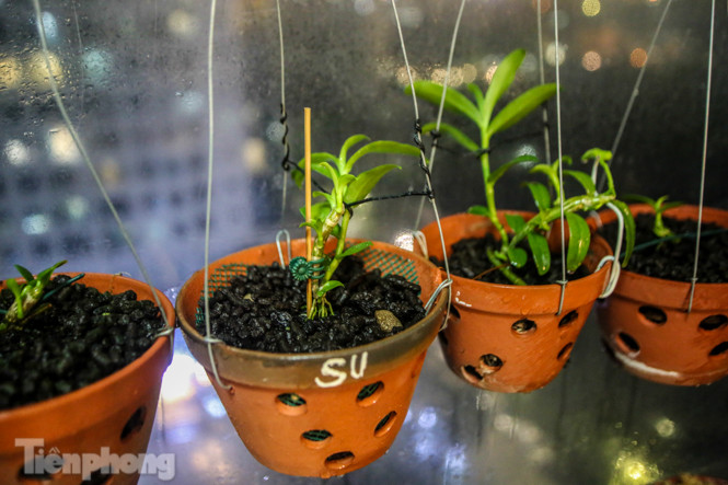 'Ban công triệu đô' của dân chơi lan đột biến phi điệp ảnh 3