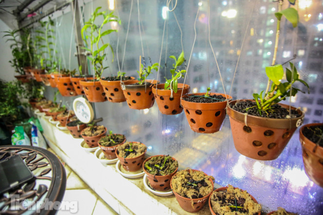 'Ban công triệu đô' của dân chơi lan đột biến phi điệp ảnh 2