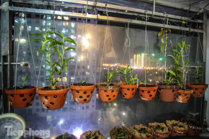 'Ban công triệu đô' của dân chơi lan đột biến phi điệp ảnh 5