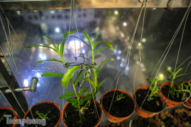 'Ban công triệu đô' của dân chơi lan đột biến phi điệp ảnh 6