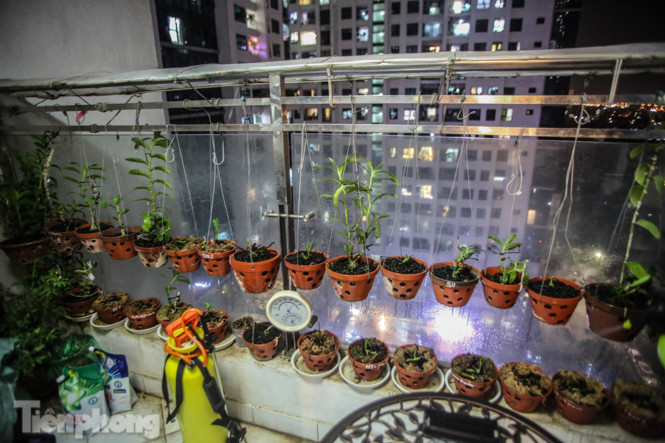 'Ban công triệu đô' của dân chơi lan đột biến phi điệp ảnh 1