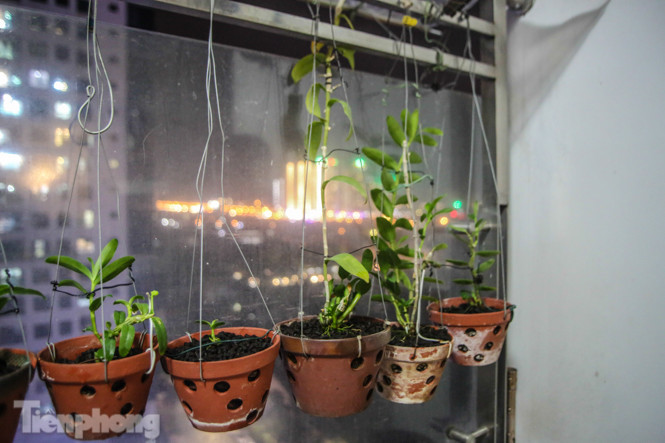 'Ban công triệu đô' của dân chơi lan đột biến phi điệp ảnh 7