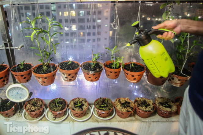 'Ban công triệu đô' của dân chơi lan đột biến phi điệp ảnh 8