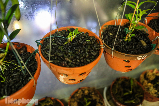 'Ban công triệu đô' của dân chơi lan đột biến phi điệp ảnh 4