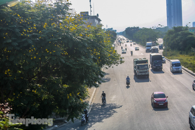 Những phố hoa Hà Nội làm xao xuyến lòng người ảnh 2