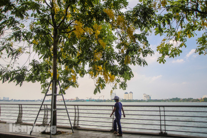 Những phố hoa Hà Nội làm xao xuyến lòng người ảnh 16