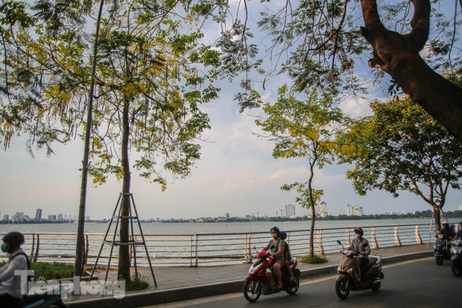 Những phố hoa Hà Nội làm xao xuyến lòng người ảnh 13