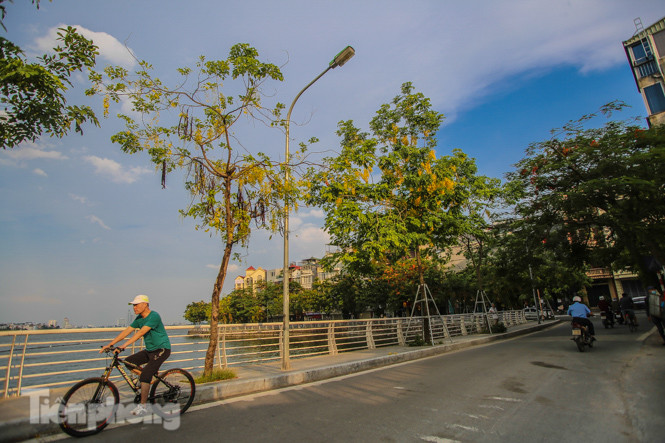 Những phố hoa Hà Nội làm xao xuyến lòng người ảnh 12