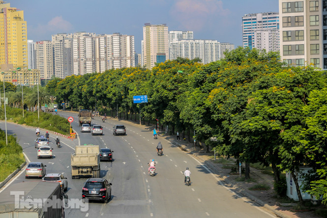 Những phố hoa Hà Nội làm xao xuyến lòng người ảnh 1