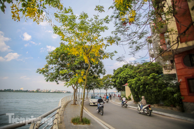 Những phố hoa Hà Nội làm xao xuyến lòng người ảnh 14