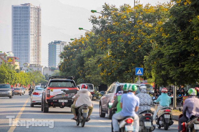 Những phố hoa Hà Nội làm xao xuyến lòng người ảnh 5