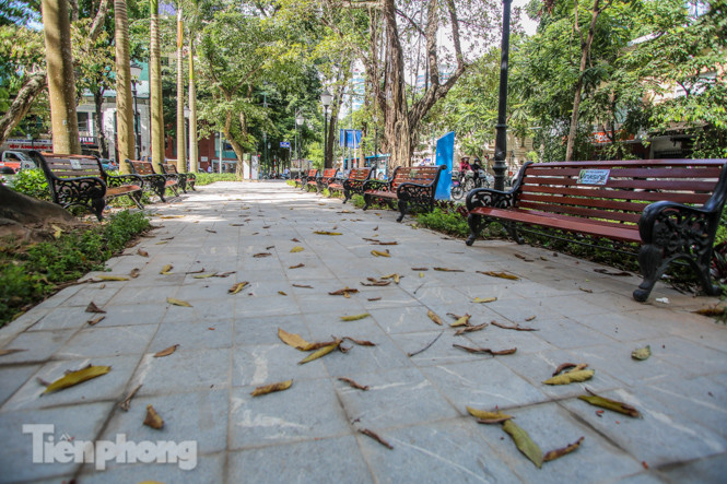 Vườn hoa kiểu mẫu ở quận 'lõi' Thủ đô có gì lạ? ảnh 13