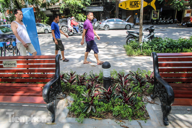 Vườn hoa kiểu mẫu ở quận 'lõi' Thủ đô có gì lạ? ảnh 9