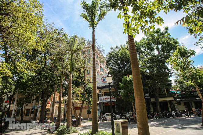 Vườn hoa kiểu mẫu ở quận 'lõi' Thủ đô có gì lạ? ảnh 7