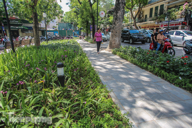 Vườn hoa kiểu mẫu ở quận 'lõi' Thủ đô có gì lạ? ảnh 8