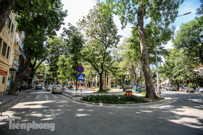 Vườn hoa kiểu mẫu ở quận 'lõi' Thủ đô có gì lạ? ảnh 1