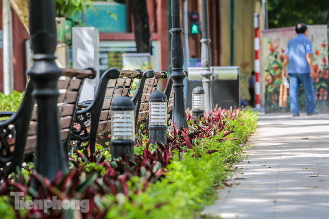 Vườn hoa kiểu mẫu ở quận 'lõi' Thủ đô có gì lạ? ảnh 5