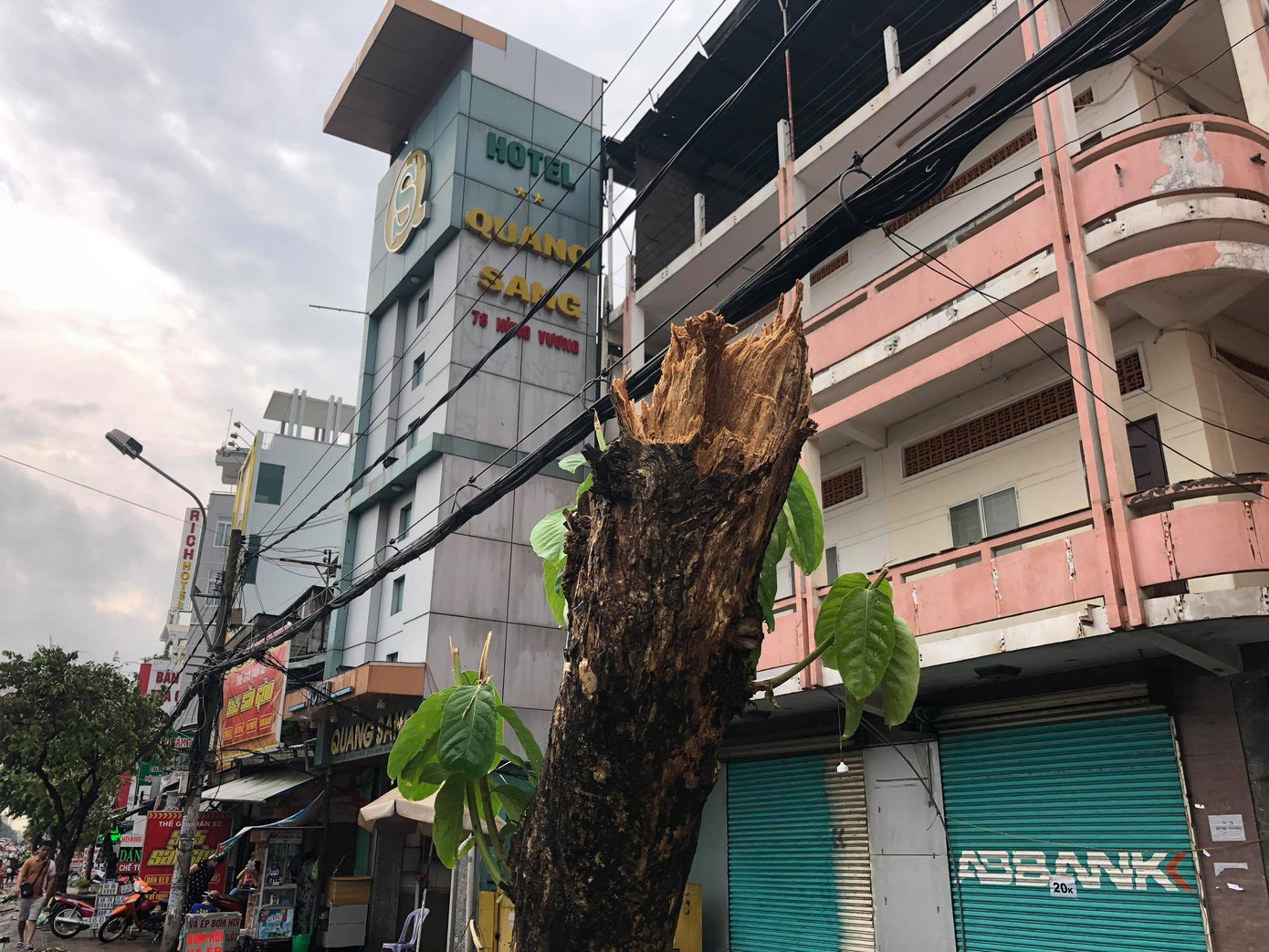 Cần Thơ mưa gió khủng khiếp, cây xanh đổ trúng 'xế sang' ảnh 1