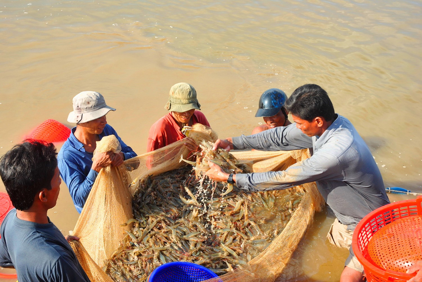 Chấn chỉnh quảng cáo trên truyền hình sau vụ làm xấu hình ảnh con tôm ảnh 1
