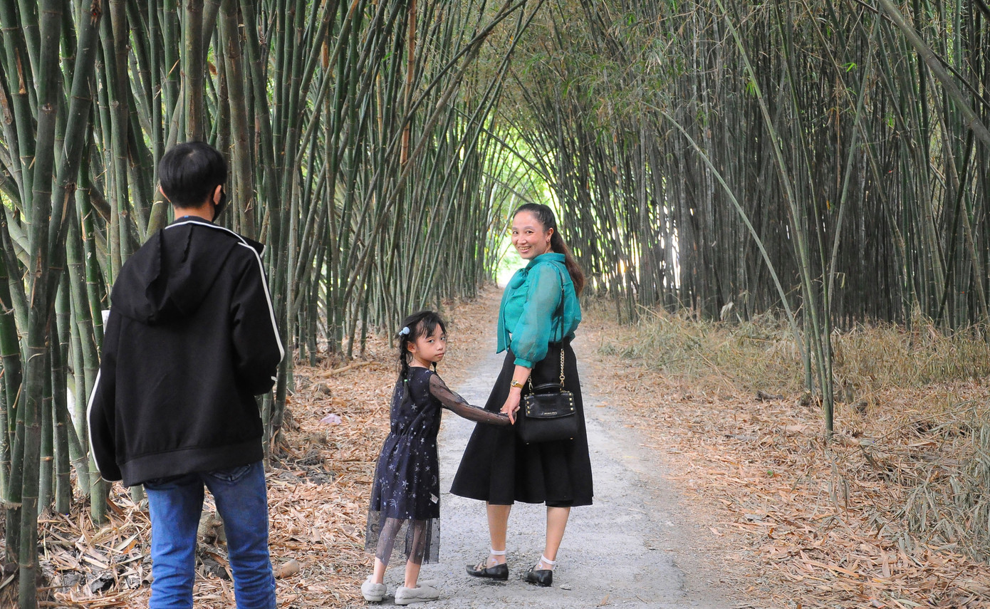 Khám phá vườn tre 'độc nhất vô nhị' ở miền Tây ảnh 5