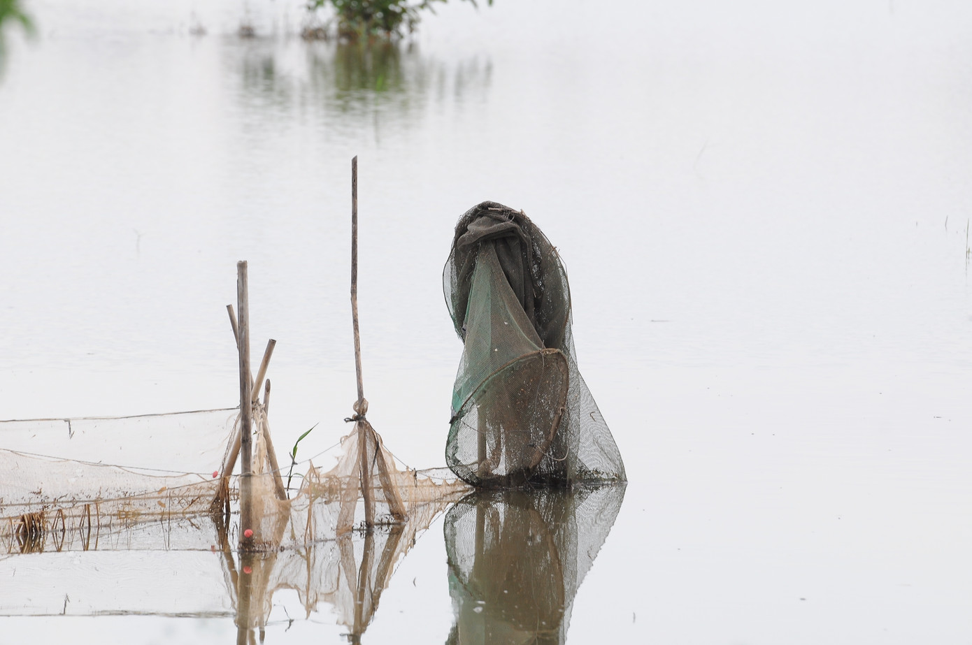 Lay lắt mưu sinh mùa nước nổi miền Tây ảnh 15
