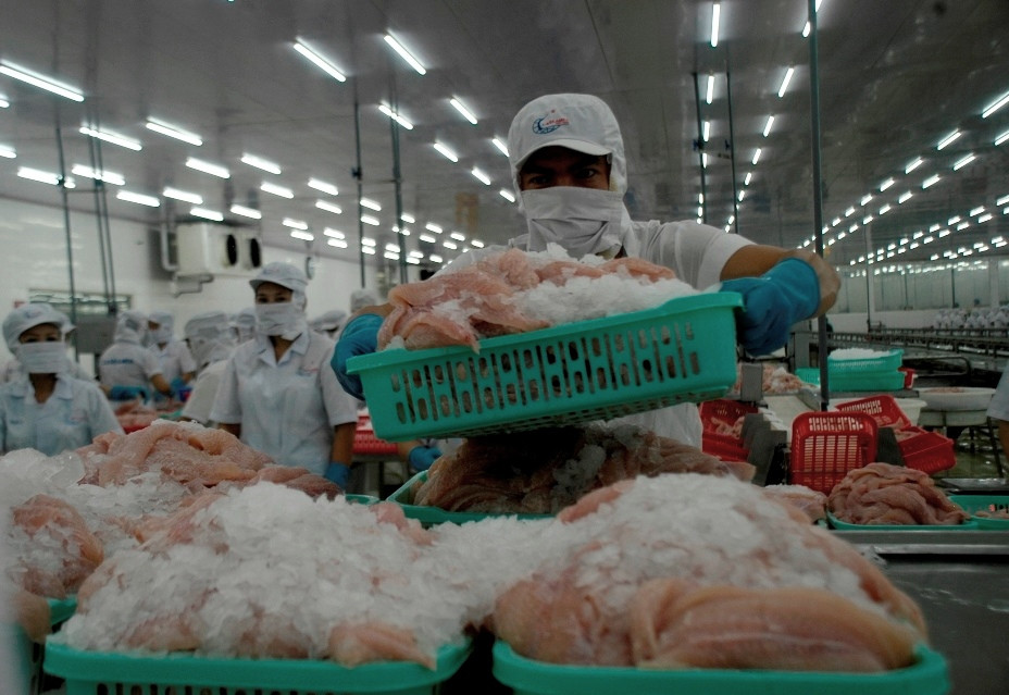 Xuất khẩu cá tra sang EU sẽ giảm kéo dài ảnh 1