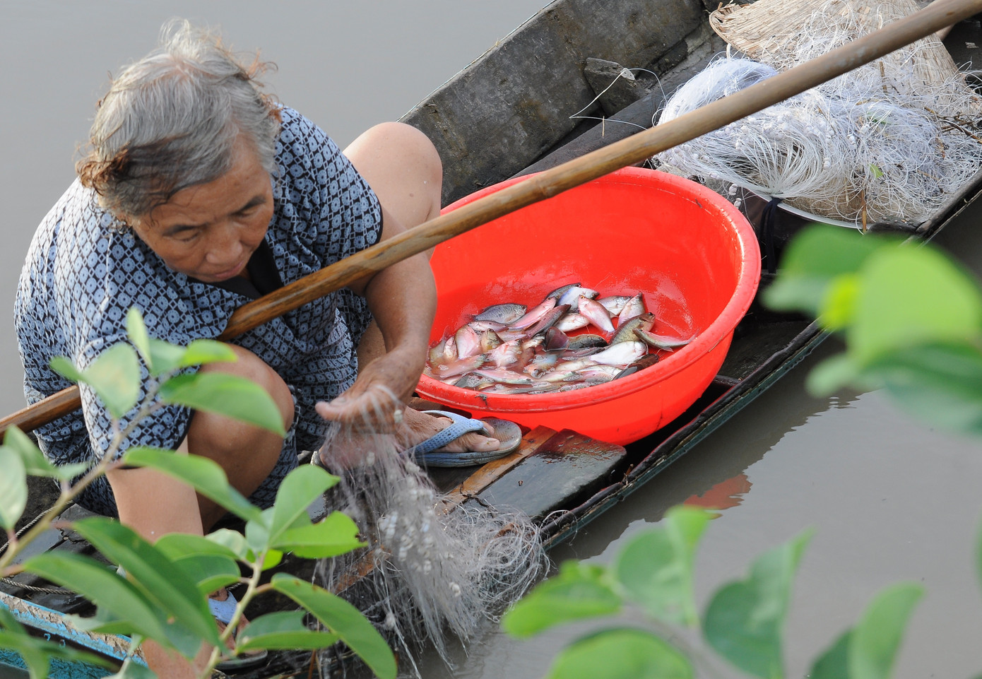 Lay lắt mưu sinh mùa nước nổi miền Tây ảnh 7