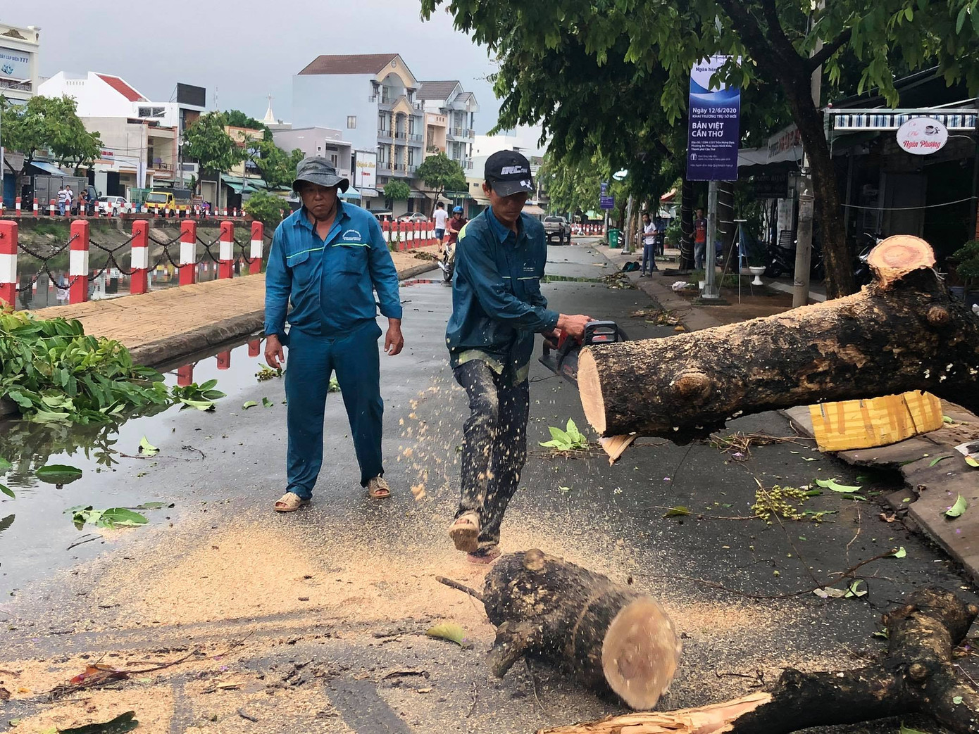 Cần Thơ mưa gió khủng khiếp, cây xanh đổ trúng 'xế sang' ảnh 16