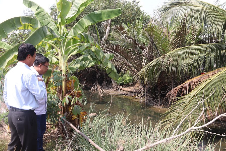 Hạn, mặn bủa vây Đồng bằng sông Cửu Long ảnh 15