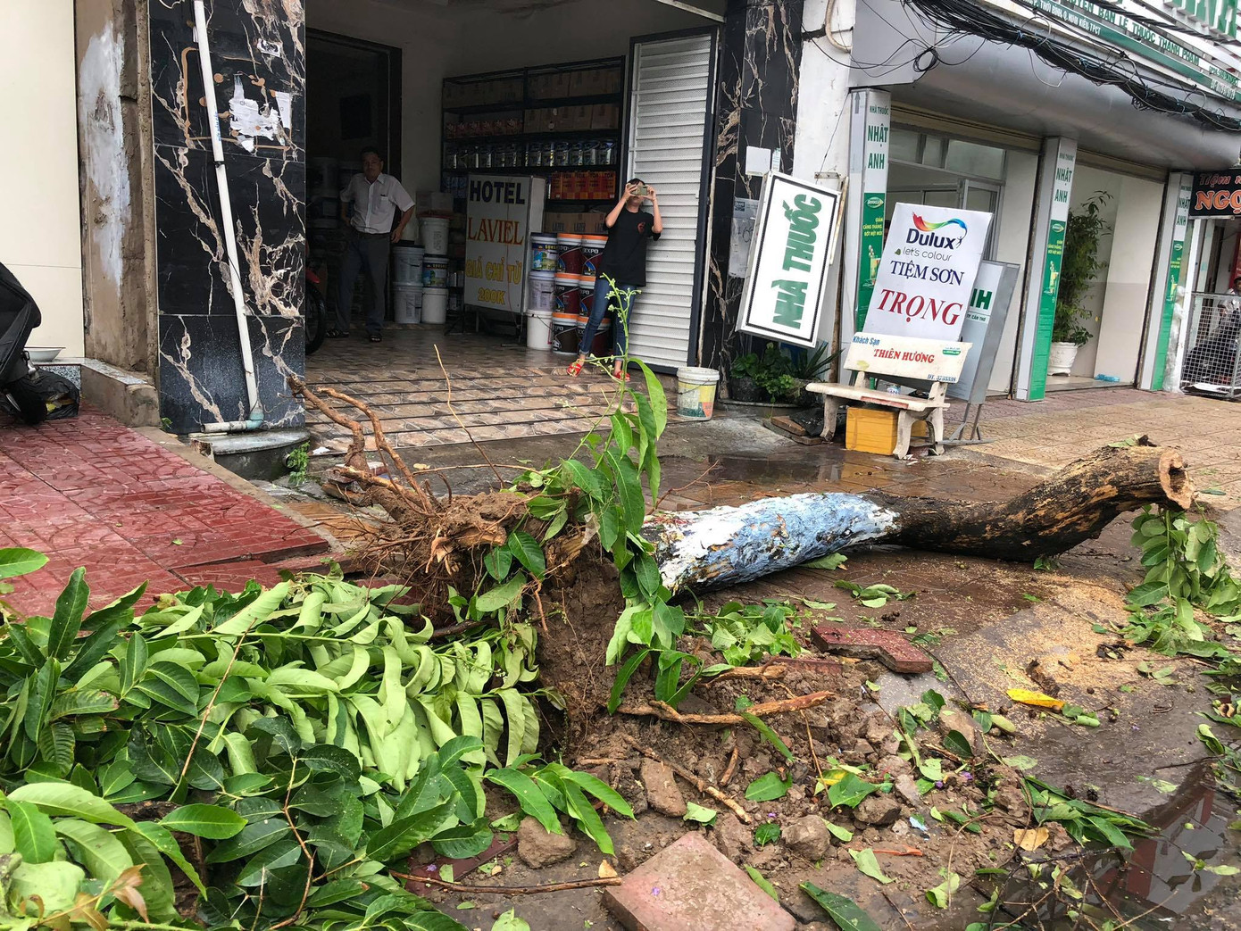 Cần Thơ mưa gió khủng khiếp, cây xanh đổ trúng 'xế sang' ảnh 14