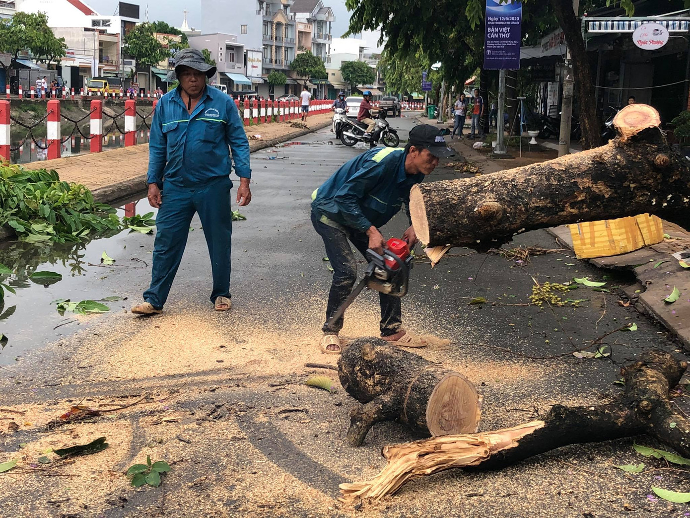 Cần Thơ mưa gió khủng khiếp, cây xanh đổ trúng 'xế sang' ảnh 12