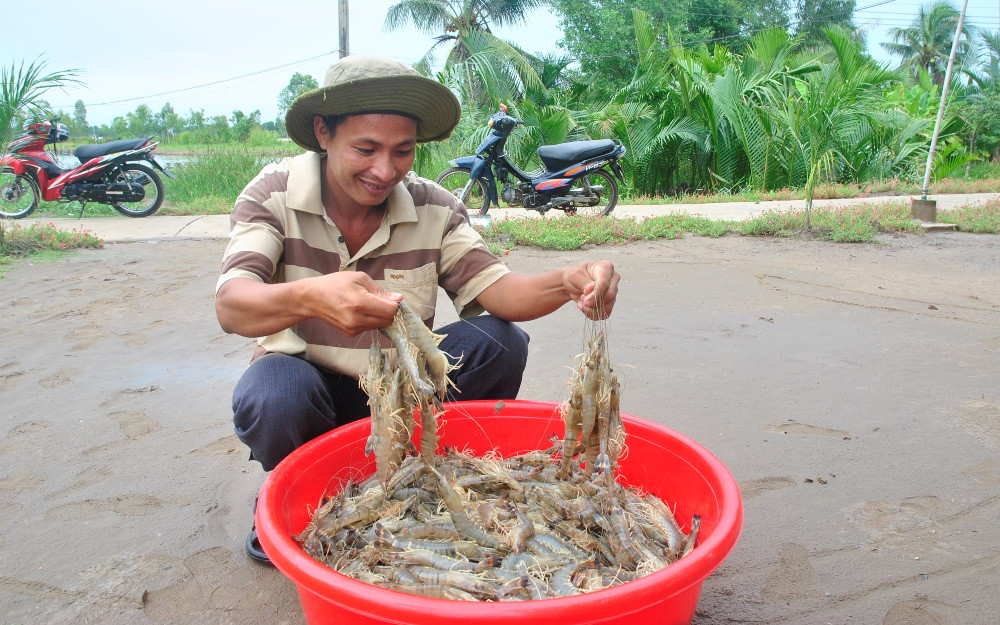 Ngành tôm và cơ hội ‘bứt phá’ sau đại dịch ảnh 2