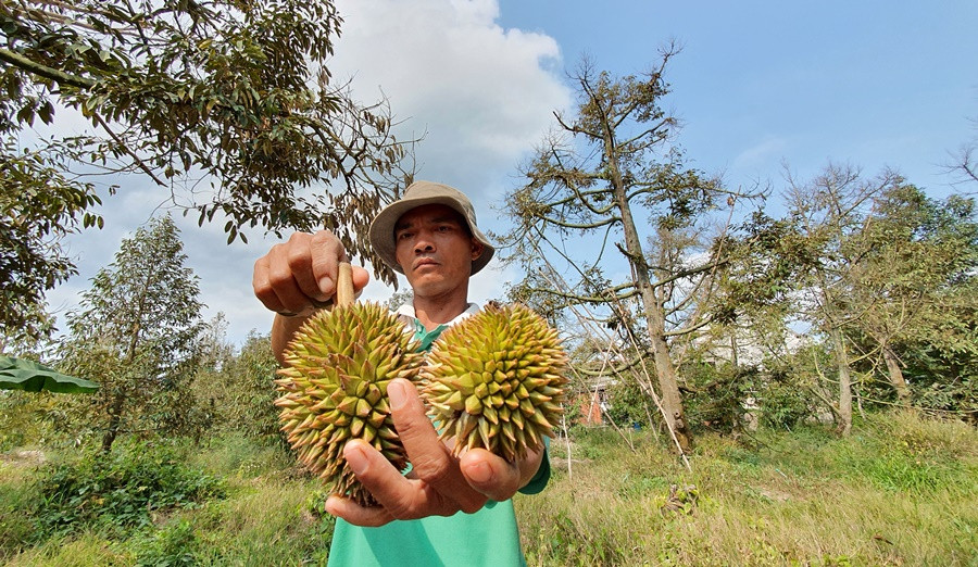 Bộ đội vận chuyển, tiếp tế nước giúp dân vùng hạn mặn ĐBSCL ảnh 2