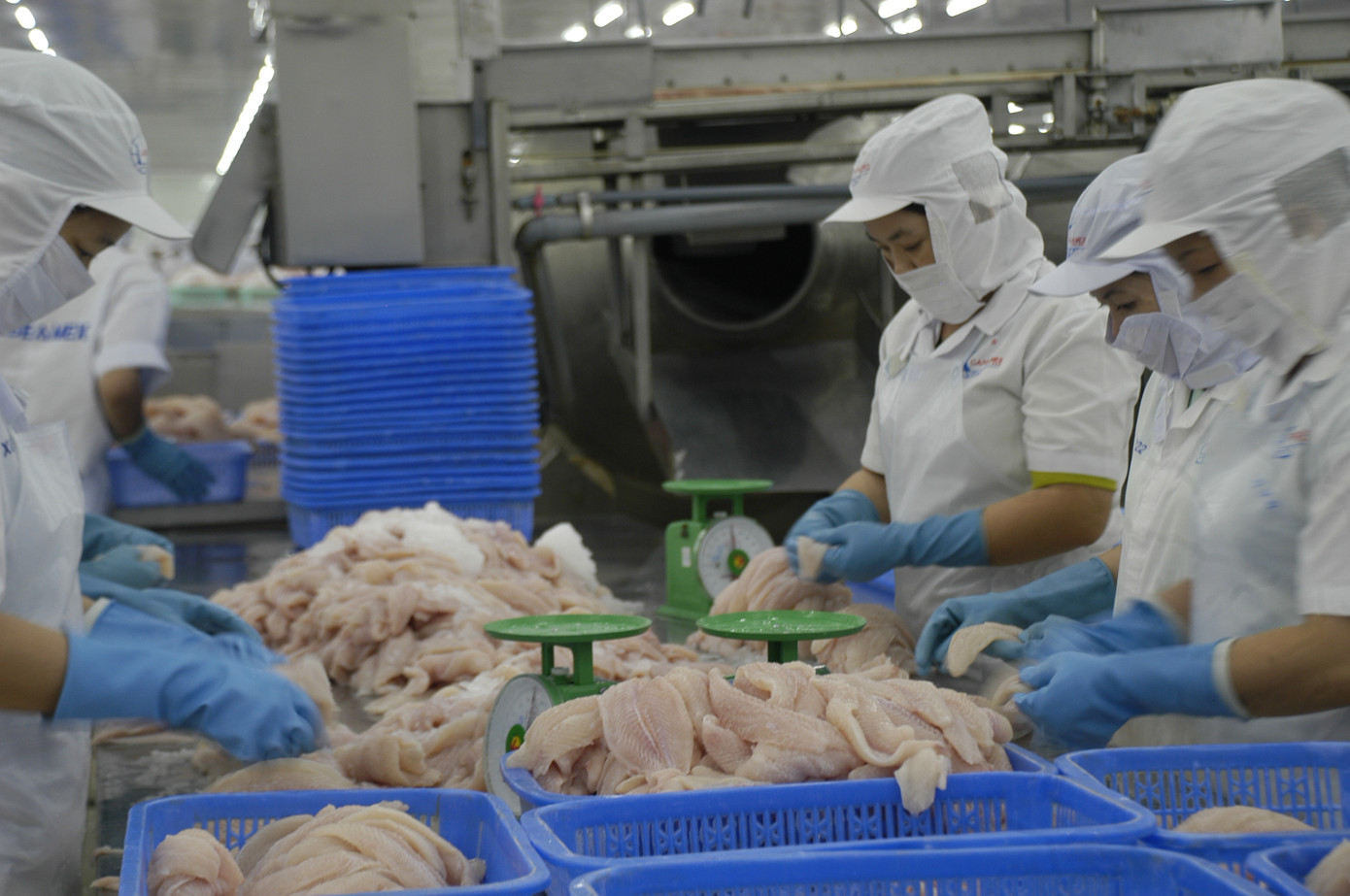 Tìm đường tiêu thụ nội địa cho mặt hàng xuất khẩu tỷ USD ảnh 1