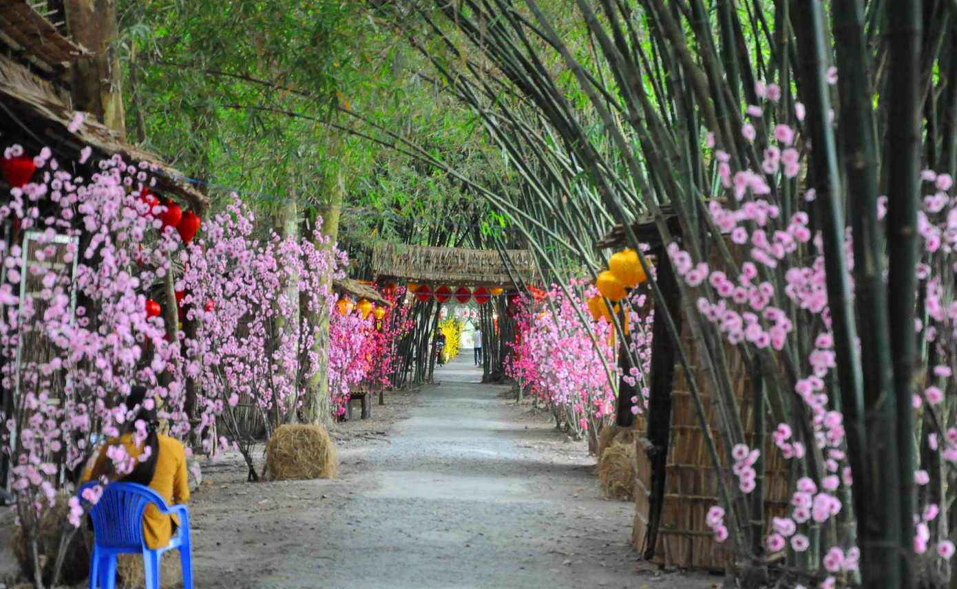 Khám phá vườn tre 'độc nhất vô nhị' ở miền Tây ảnh 18