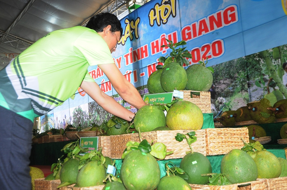 Chạy Marathon, trồng cây xanh ‘chống biến đổi khí hậu’ ảnh 11