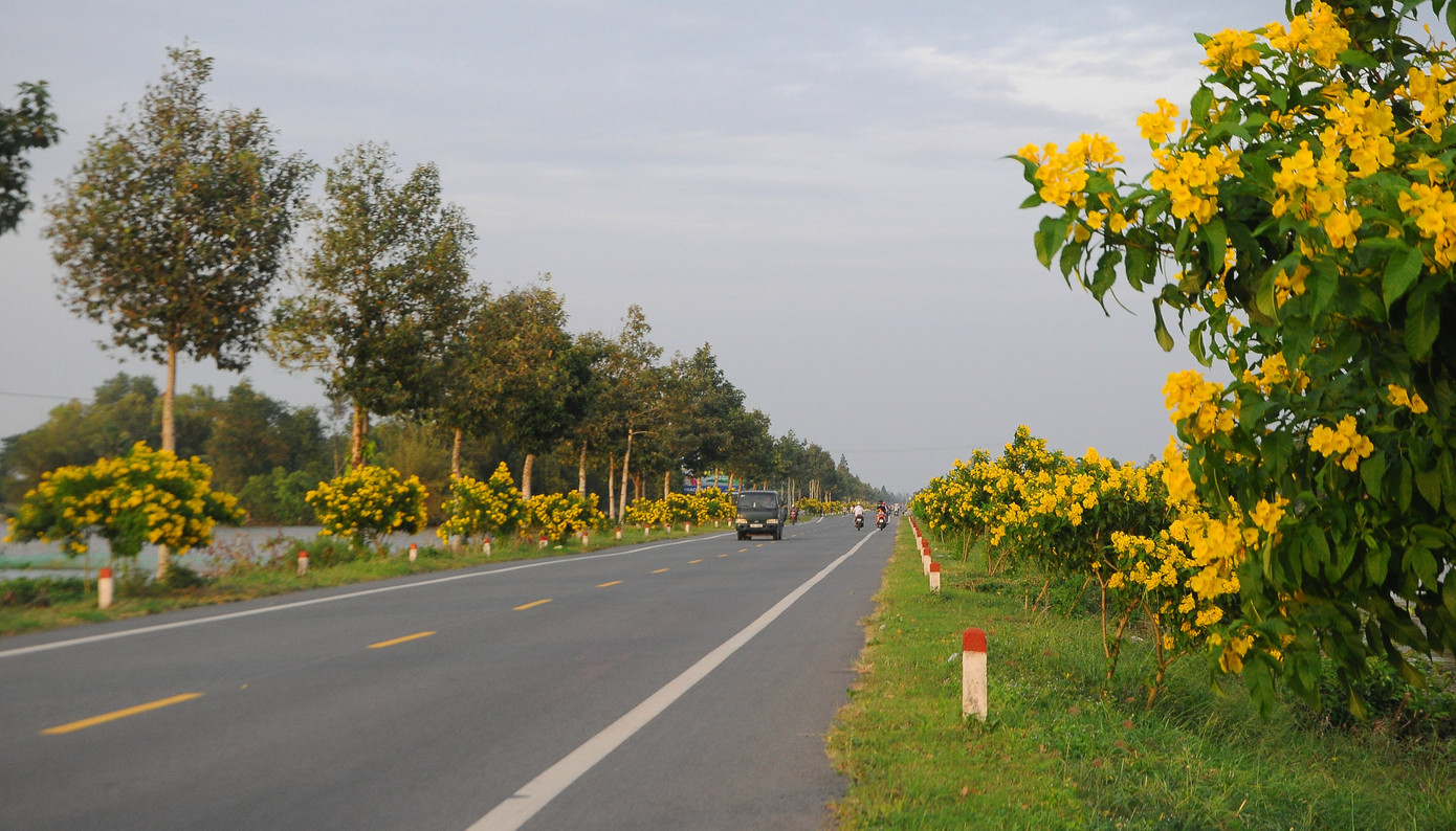 Lay lắt mưu sinh mùa nước nổi miền Tây ảnh 19