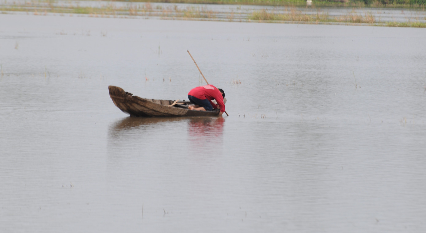 Lay lắt mưu sinh mùa nước nổi miền Tây ảnh 10