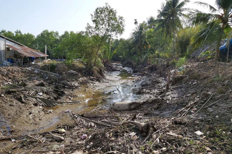 Hạn, mặn bủa vây Đồng bằng sông Cửu Long ảnh 9