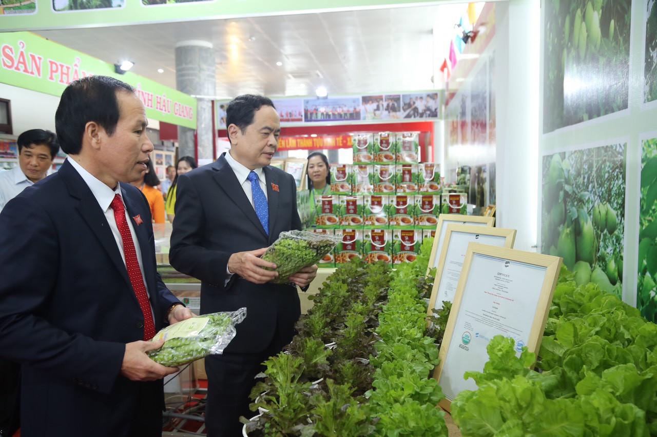 Trưởng Ban Tổ chức Trung ương chỉ đạo Đại hội Đảng bộ Hậu Giang ảnh 2