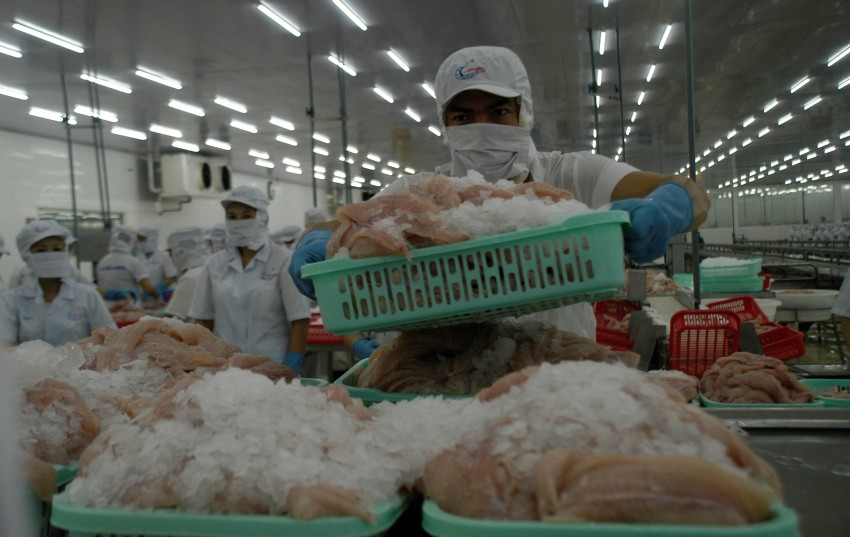 Đề nghị bổ sung ngành chế biến, kinh doanh thủy sản vào đối tượng gia hạn nộp thuế ảnh 1