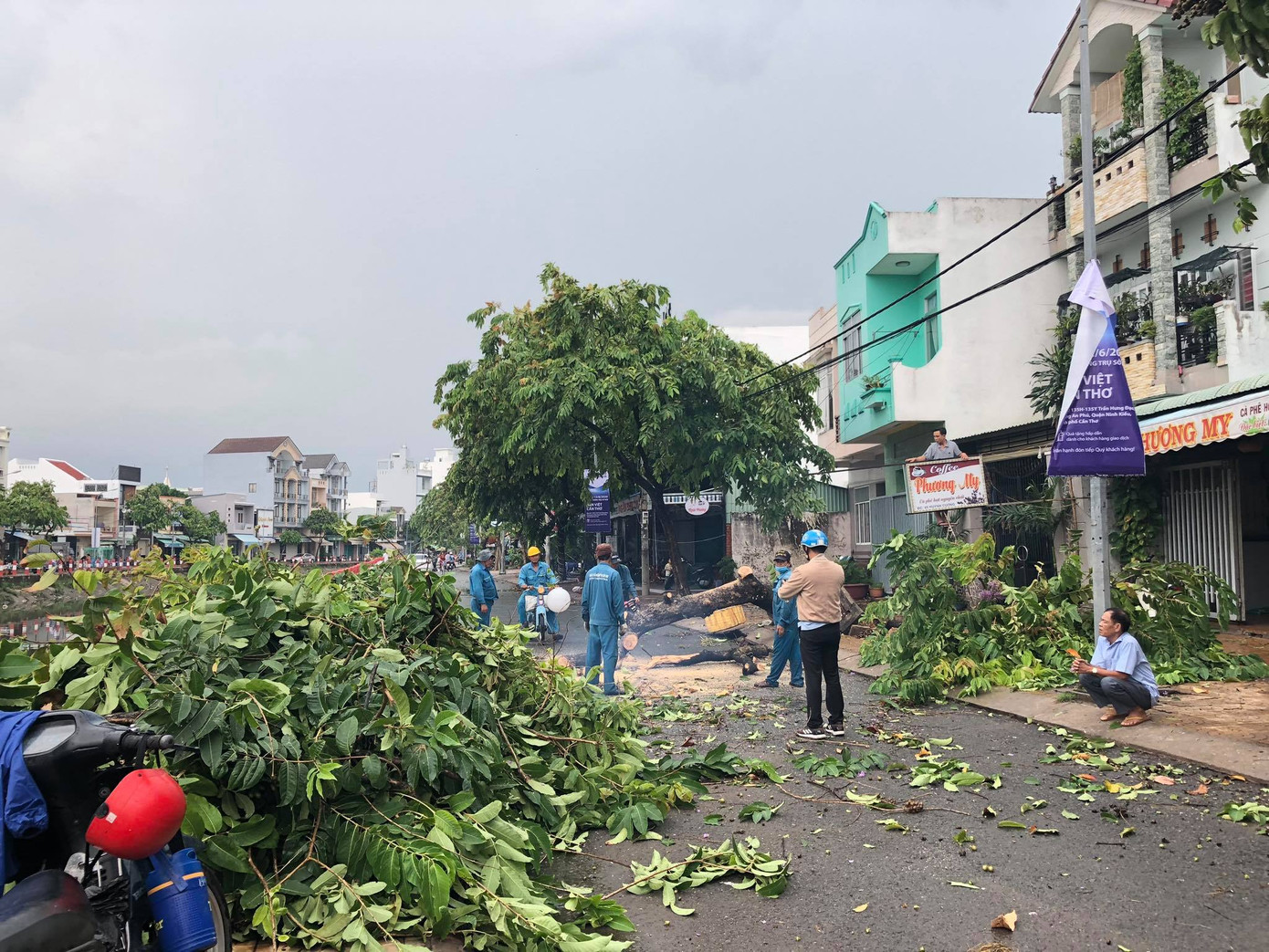 Cần Thơ mưa gió khủng khiếp, cây xanh đổ trúng 'xế sang' ảnh 10