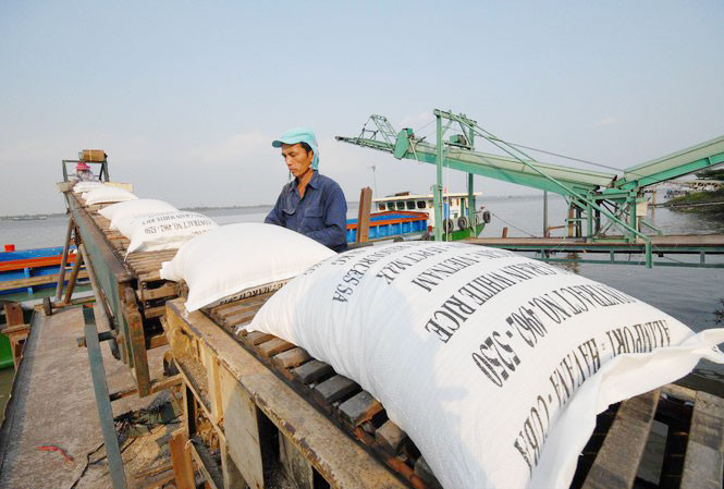 Góc khuất xuất khẩu gạo ảnh 3