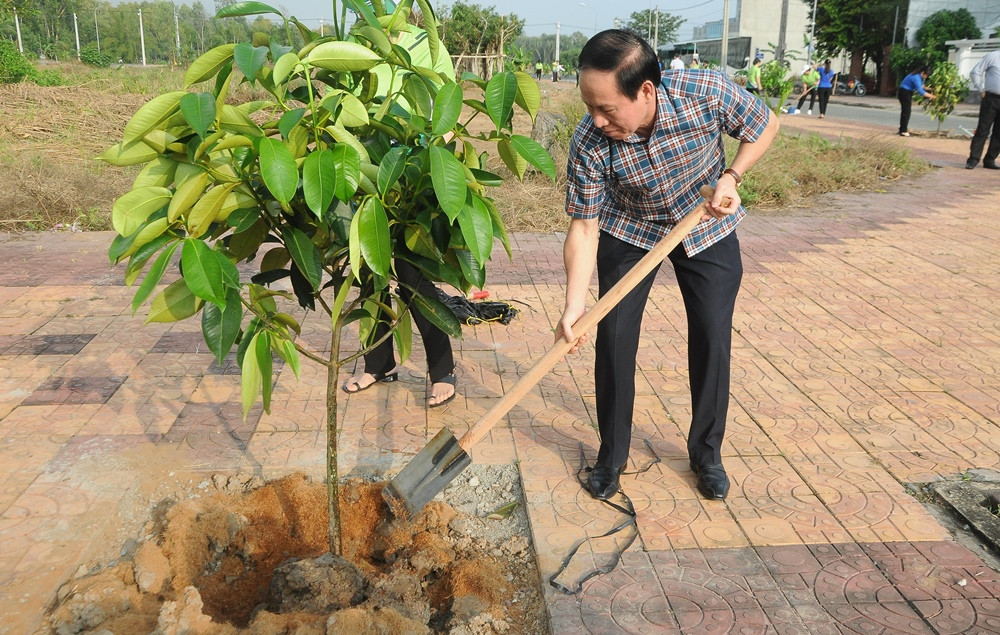 Chạy Marathon, trồng cây xanh ‘chống biến đổi khí hậu’ ảnh 3