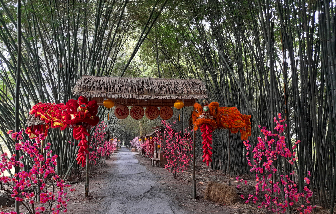 Khám phá vườn tre 'độc nhất vô nhị' ở miền Tây ảnh 14